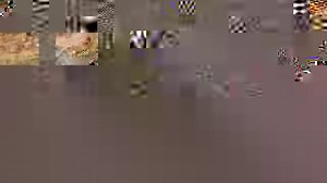 The life of an impala out in the wild is tough. This impala showed just how tough it can be while being the target of a leopard, hyena and 2 crocodiles. | Latest Sightings - Kruger