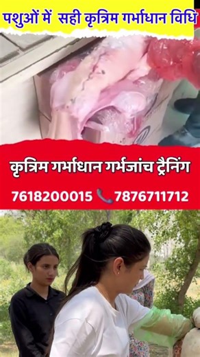 Veterinary Doctor बनने का पूरातरीका | Step-by-Step fullpractical Training |