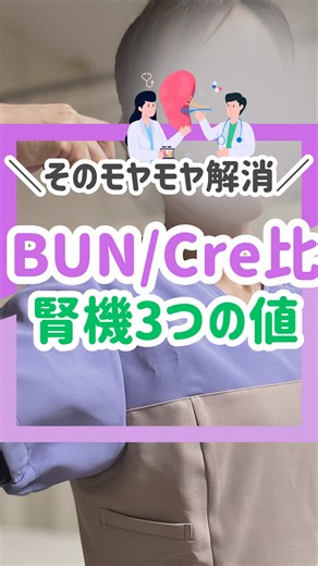腎機能を理解するためのBUN/Cre比の解説