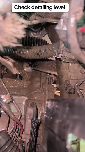 Engine Maintenance Check: Inspecting Detailing Levels