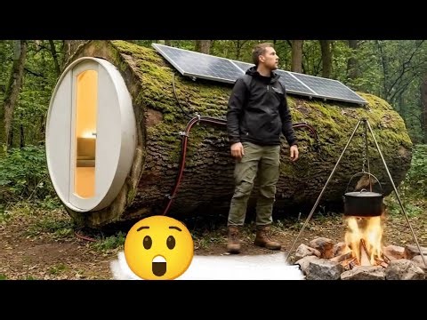 Building a five-star hotel-like shelter inside a giant tree trunk.