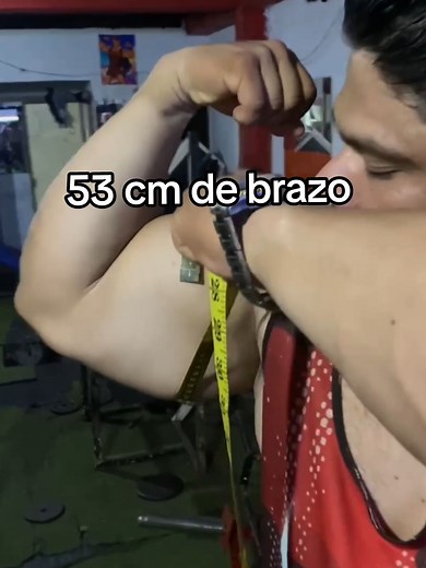 Desarrollo de Brazos: Estrategias para Definir y Aumentar Músculo