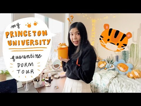 Princeton University Dorm Room Tour