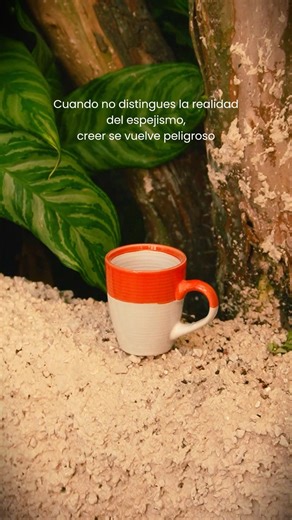 NEW MUSIC this February 20 on all platforms 🌻