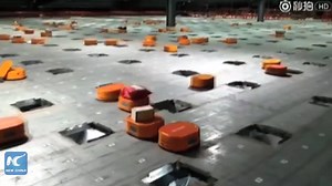 200,000 packages a day! Robots help sort parcels for quicker delivery in E China's Shandong. Will machines destroy our jobs? | China Xinhua News