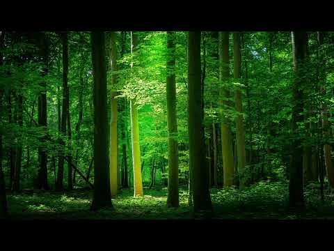 Mystical and Relaxing Music for Deep Relaxation