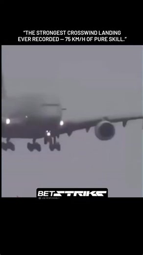 NeoAviator on Instagram: "“Nature doesn’t care what you’re flying.” Even the biggest birds bow to the wind. In aviation, it’snever about size — it’s about skill. When brutal crosswinds strike, pilots face one of the toughest tests in the sky: the crosswind landing. To fight the gusts, aircraft approach the runway at an angle — a maneuver known as a “crab” — perfectly balancing wind and lift while keeping the landing gear straight. One wrong move, and tons of steel could be swept off the centerli