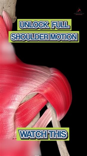 Dr. Joey Seyforth PT, DPT, ATC, CSCS on Instagram: "❌ You feel mobile in warm-ups… but locked up under the bar. That’s because your mobility never got strong. To show up in training, it has to be loaded, integrated, and intentional. 🔥 Why Your Mobility Isn’t Carrying Over: 📉 Static Drills = No Strength ⚙️ No Load = No Control 🎯 Range Has to Match Demand 🛠️ Make It Training-Ready: 🧠 Wall Slide + Lift Off – Build full range with activation + stability 🔥 Banded Press – Link press path to rota