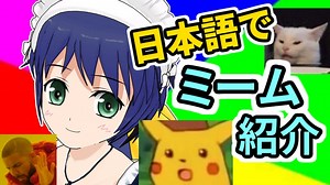 有名な海外ミーム10個を日本語に訳して解説してみた #1