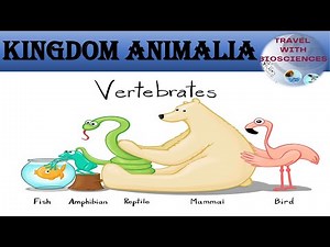 "Vertebrates: A Classification Overview"