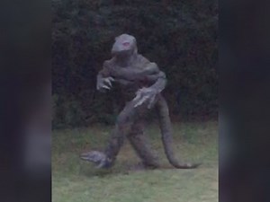 Be on the lookout for lizard men, South Carolina