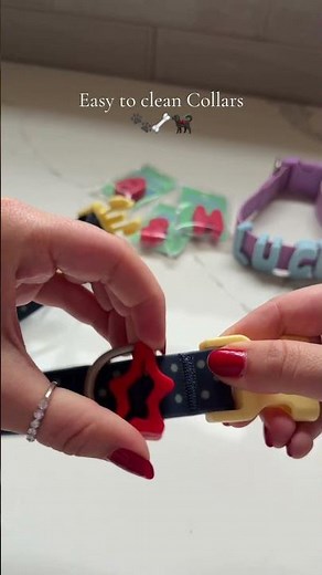 The cutest waterproof dog collars that are so easy to clean and customizable! Springland Pets