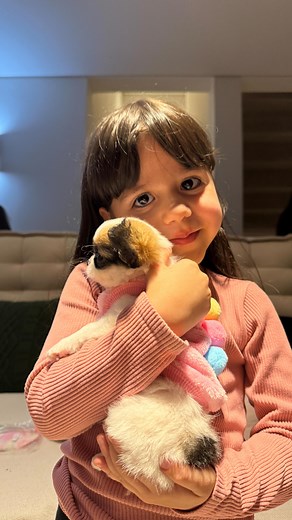 Bela Fernandes on Instagram: "O meu bebe faz 5 aninhos… e ganhou o melhor presente que uma criança pode receber, um amigo pra vida toda. 🐶💖 A chegada de um filhotinho na infância é muito mais do que fofura, é afeto, é companhia, é responsabilidade. Feliz aniversário, minha pequena. Que o mundo seja sempre cheio de alegria, latidos e muito amor! 🎂✨ Obrigada @valletantiaugurichihuahua por fazer parte de um momento tão único na nossa família! 🩷 Se você está procurando um canil de confiança, que