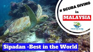 SIPADAN - Discovering the World famous dive site