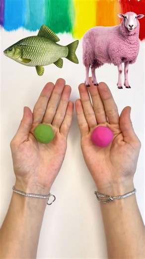 Fish + Sheep = 😍⚡️