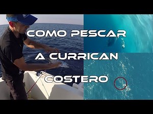 How to fish for albacore, mahi-mahi, bonito, ... using coastal trolling