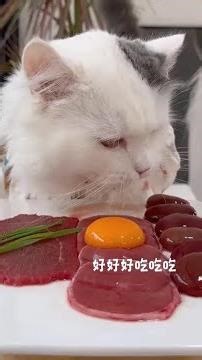 Indigenous daily meals # popular on Douyin # all things lovely plan # pet eating broadcast