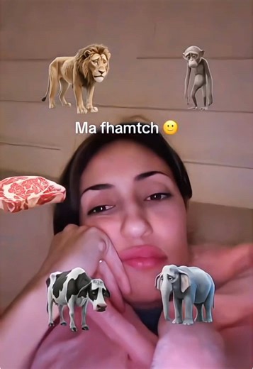 Happy Animal Feeder Filter: Fun Pet Feeding Effects!