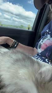 10K views · 929 reactions | Sebastian | Smooth Moves Ranch | Facebook