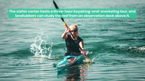 Fun Things To Do in Key Biscayne