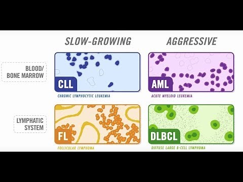 The Diversity Of Blood Cancer