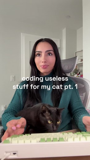 Creative Coding Projects for Cat Owners