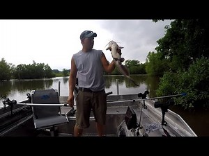 Jug Fishing for Catfish