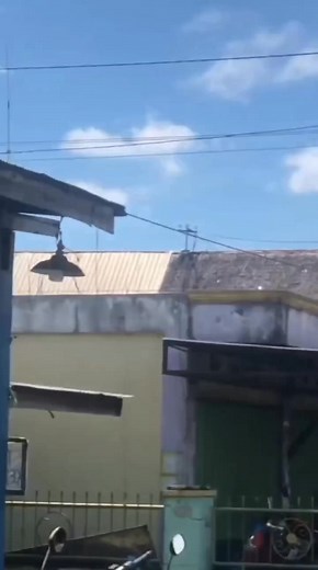 31K views · 589 reactions | Kid on motorcycle throws up the classic finger.  #middlefinger #motorcycle #oncamera #malwaidon | Middle Finger | Facebook