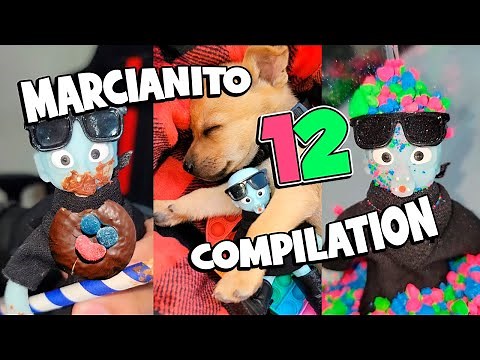 🤪 LITTLE MARTIAN SEASON 12 🤣 (In Order) COMPILATION #shorts #funny #viral #series #animals #humor