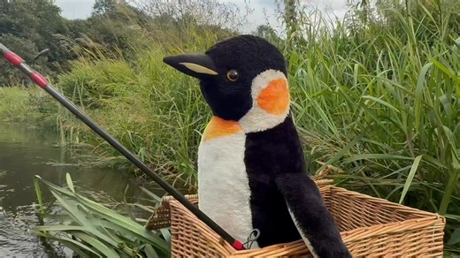 Hi folks .. let’s wake up Bob the penguin … | Just say hello