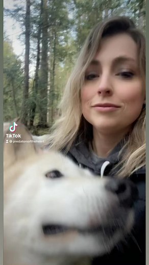 16K views · 859 reactions | Darby never wants me to love other wolves. Argie our 12 year old wolf dog ambassador is one of the sweetest wolf dogs I have ever worked with! So blessed to rescue animals, educate young people and work with conservation efforts. #FacebookReelsContest #becausewematter #predatotsoftheheart #wolflove | Because We Matter | Facebook