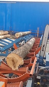 How a Circular Saw Processes Thick Timber in One Pass. #woodworking #facts #reel #pageforyou #sharereel | GadLab