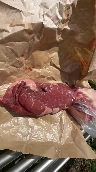 Exploring the Benefits of a Raw Food Primal Diet