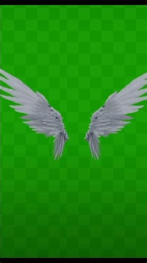 wings #greenscreen #chromakey #greenscreen #Aotocaption#shorts#viral