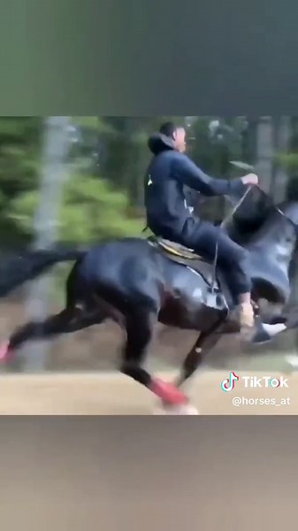 Galloping Through the Forest on a Black Horse