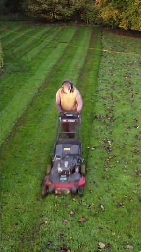 Timelapse grass cut #27 #relaxing #grasscutting #timelapse