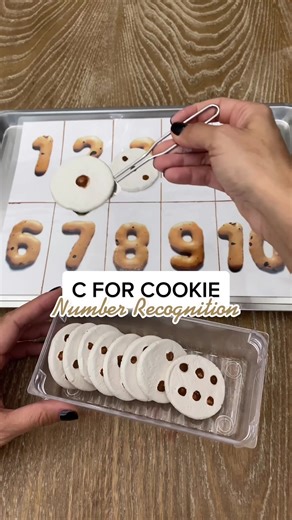 Montessori Inspired Show N' Tell Alphabet Activity