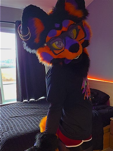 Discover the Best Furry Music Tracks to Enjoy