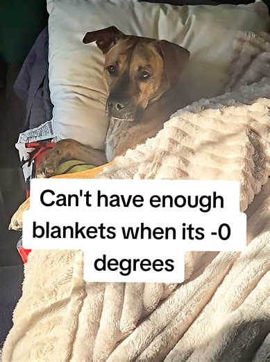 Tagged right above my name if you want to score that quick sale ‼️#tiktokshopjumpstartsale #largeblanket #cheapblanket #fluffyblanket #rabbitfurblanket