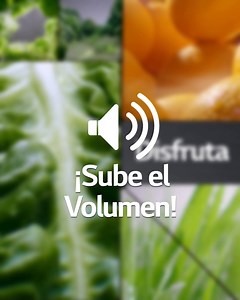 ¿Alguna vez has escuchado el sonido de la frescura? 🔊 Los nuevos frigoríficos LG con cascada de aire Door Cooling, te permitirán sentir la máxima frescura en todos los sentidos. 🍊 | LG Global