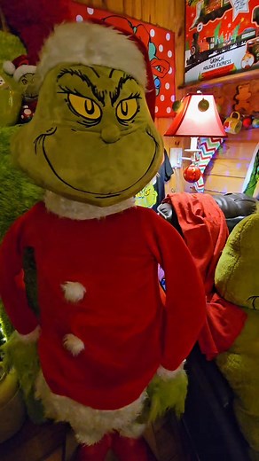 💚 The Grinch is introduced to Stetson...make room Max 😄 #Stetson #PeekaPoo #doglover #Dogs #Grinch #GrinchVibes #grinchchristmas #grinchmas #WeLoveMaxToo 🤘💙❤️🌲🎅🐾🐾 | Donnie Lee Strickland Music