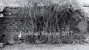 Video Update... | trashcan sinatras
