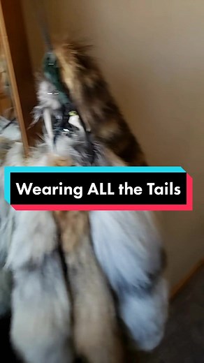 wolfforce58205 on TikTok