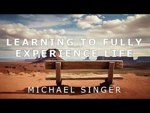 Michael Singer - Spirituality - Learning to Fully Experience Life