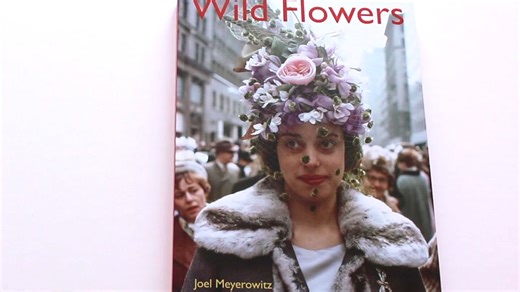 摄影欣赏 | Joel Meyerowitz《Wild Flowers》
