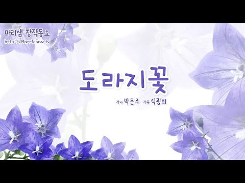 도라지꽃 (박은주 작사/ 석광희 작곡) #도라지꽃 #도라지 #꽃 #보라색