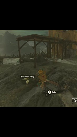Things I Put This Poor Man Through — TOTK Nintendo Switch Moments