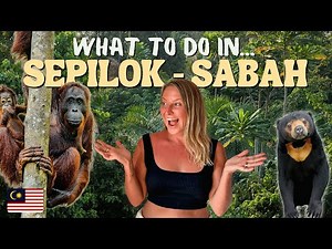 Malaysian Borneo First Impressions – Orangutans & Sun Bears