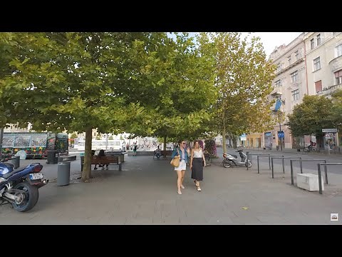 Walking Through Cluj-Napoca 🇷🇴 A Beautiful City You’ll Want to Visit!