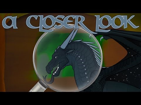 A closer look at... NightWings! | Wings of Fire Tenth Anniversary!